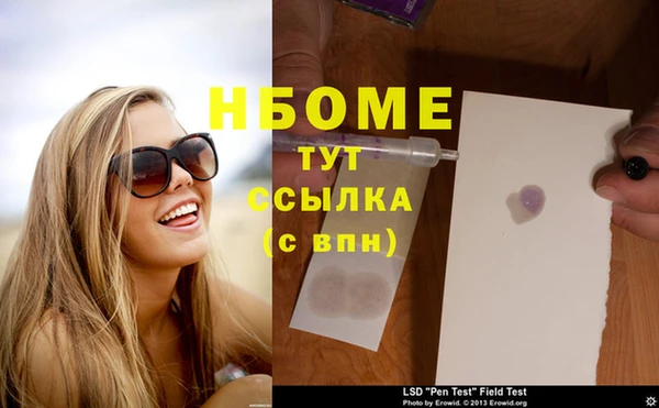 ГАЛЛЮЦИНОГЕННЫЕ ГРИБЫ Богданович