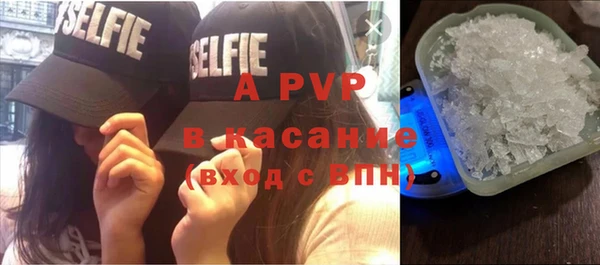 ГАЛЛЮЦИНОГЕННЫЕ ГРИБЫ Богданович