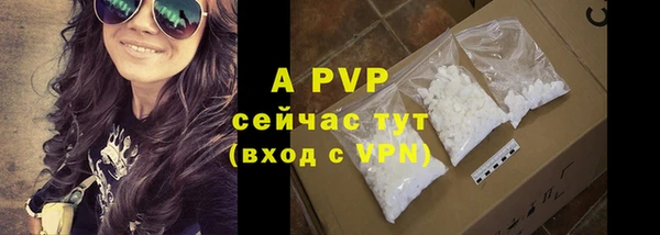 ГАЛЛЮЦИНОГЕННЫЕ ГРИБЫ Богданович