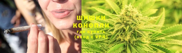ГАЛЛЮЦИНОГЕННЫЕ ГРИБЫ Богданович