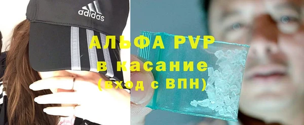 ГАЛЛЮЦИНОГЕННЫЕ ГРИБЫ Богданович