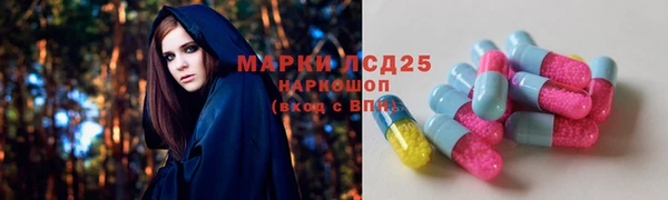 ГАЛЛЮЦИНОГЕННЫЕ ГРИБЫ Богданович
