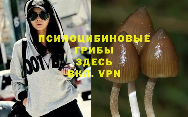 меф Богородицк