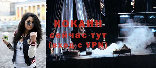 ГАЛЛЮЦИНОГЕННЫЕ ГРИБЫ Богданович
