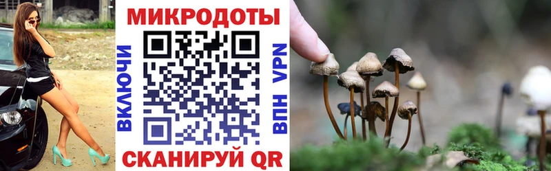 Купить где  Волжск  Галлюциногенные грибы ЛСД 